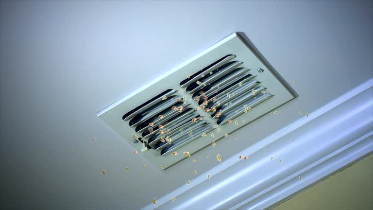 Best Affordable Air Duct Cleaning  in Springhill, LA