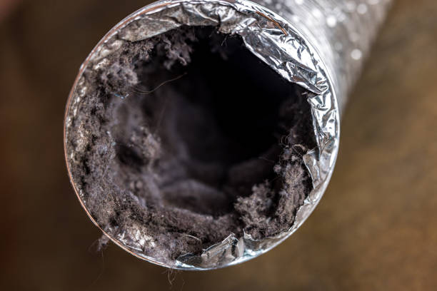 Best Best Air Duct Cleaning Company  in Springhill, LA